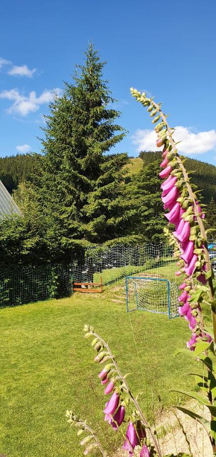 Pension Renata Harrachov Exterior photo